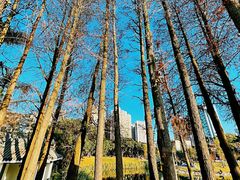 -四海公园(南山区)