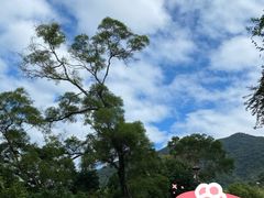 -深圳仙湖植物园