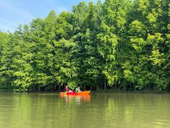 -上海海湾国家森林公园