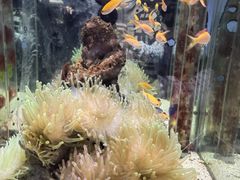 -太平洋海底世界