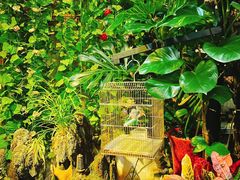 -丽江庭院·云南野生菌·海鲜火锅(鼓楼四合院店)