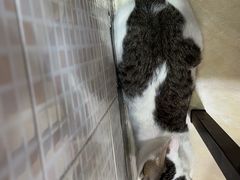 -玉椰林甜品店(创始店)