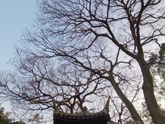 -艺圃
