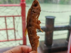 -乌江画廊(彭水苗族土家族自治县)