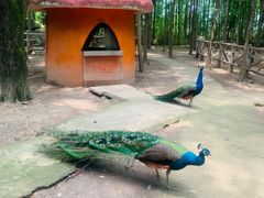 -昆山城市生态森林公园