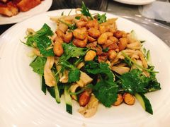 鲜沙姜捞猪肚-美极鲜食坊(宝安南路店)
