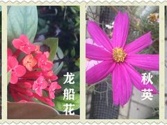 -华南师范大学(广州大学城校区)