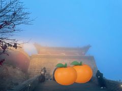 -泰山风景名胜区