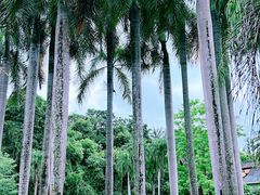 -中国科学院西双版纳热带植物园