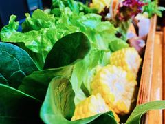 -手选潮汕鲜活牛肉火锅(二七广场店)