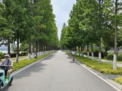 -东湖落雁景区