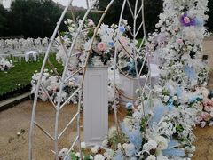 -北京张裕爱斐堡酒庄