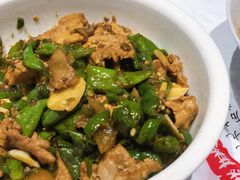 青辣椒炒肉-壹盏灯(惠农店)