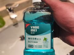 -洪福龙虾