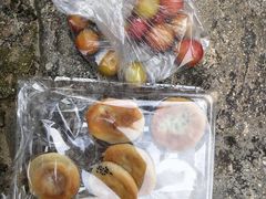 -南靖田螺坑土楼群景区