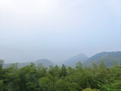 -莫干山风景区