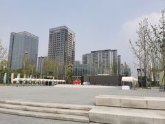 -金沙湖公园