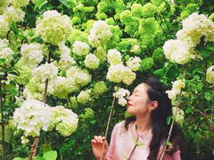 -铁山坪森林公园