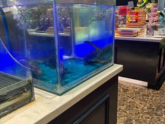 -SEA西雅图海鲜自助餐厅(海乐世界店)