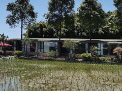 -洪湖家庭农场·团建·露营·会议