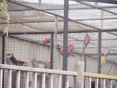 景点-石家庄市动物园