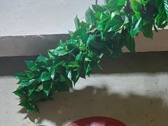-人民公社铁锅炖·东北菜(卫国道店)
