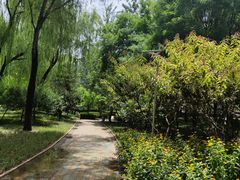 -南长河公园