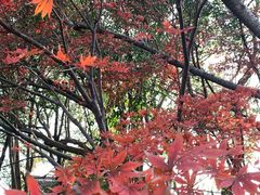 -狼山风景名胜区