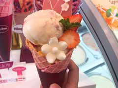 -哈根达斯(石家庄北国店)