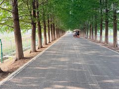 -嘉北郊野公园