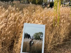 -济南国际园博园