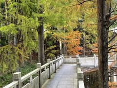 -四明山国家森林公园