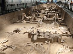 -洛阳周王城天子驾六博物馆