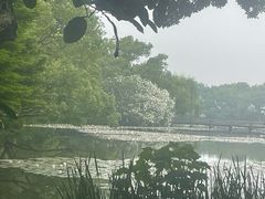 -西湖游船