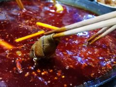 -星鸿社重庆老火锅