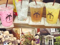 -TrueLove @ Neverland (Husky Cafe)