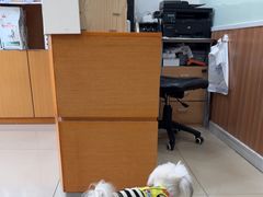 -宠福鑫动物医院(望京分院)