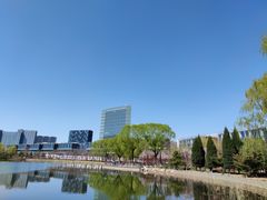 -大兴滨河森林公园