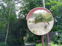 -深圳仙湖植物园