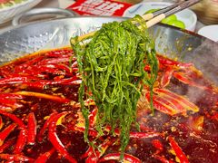 -小龙坎火锅(春熙太古里店)