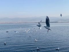 -山海餐厅