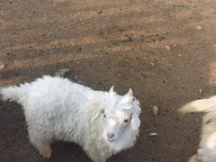 -云漫湖生态度假公园