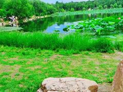 -长春市南湖公园