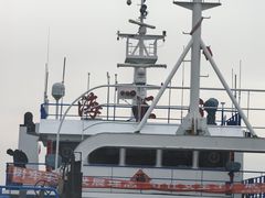 -皮口港