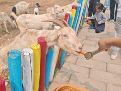 -西部长青自然儿童乐园