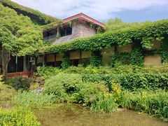 -中国茶叶博物馆(双峰馆区)