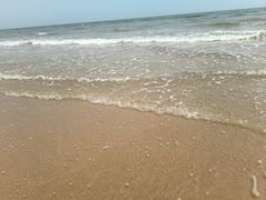 -日照海滨国家森林公园