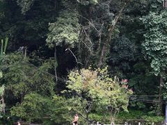 -和顺古镇