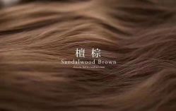 -MYYF SALON烫发染发