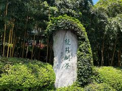 -十里琅珰